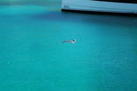 Review img # 50 of the yacht BEYOND STARDUST