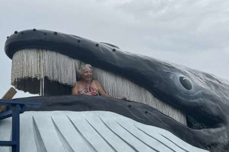 Review img # 6 of the yacht DEVINE SAILING