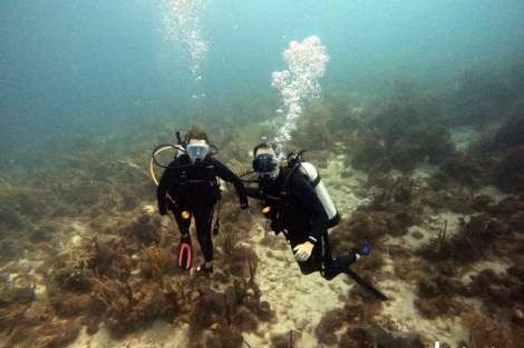 Review img # 5 of the yacht DRAGONFLY