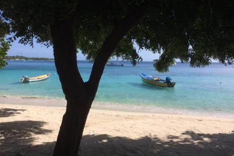 Review img # 25 of the yacht ILLUSION