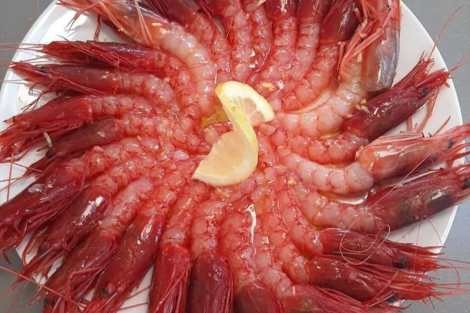 Review img # 26 of the yacht LISA OF THE SEAS