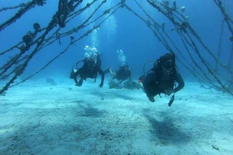 Review img # 49 of the yacht ODYSSEA