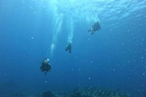 Review img # 28 of the yacht ODYSSEA