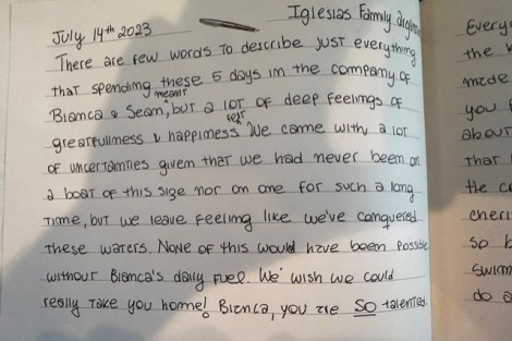 Review img # 2 of the yacht PALOMA