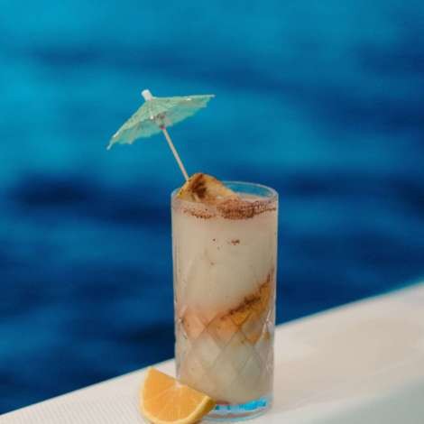 Food onboard VICARIOUS # 5