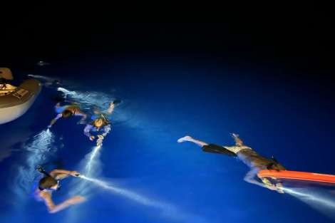 Review img # 1 of the yacht WANDERLUST